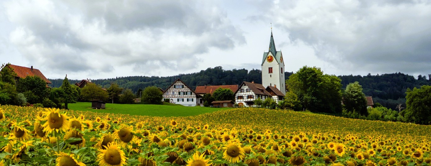 Ortsansicht von Buch am Irchel im Zürcher Weinland mit Dorfkern und Irchel-Landschaft